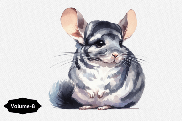 Download Cute Little Chinchilla Sitting Clipart - Cute Collection